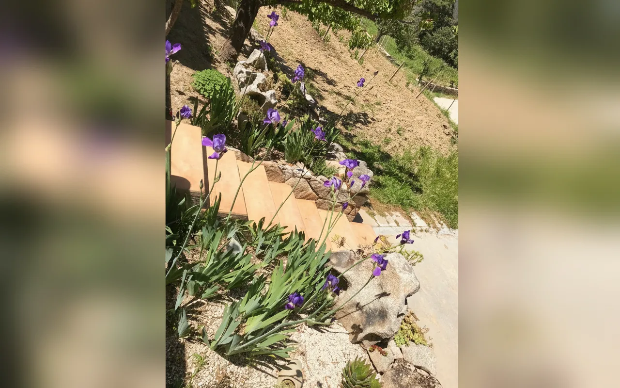 Esterni di Country House Musserrata, Oliena (Sardegna) (foto 49)